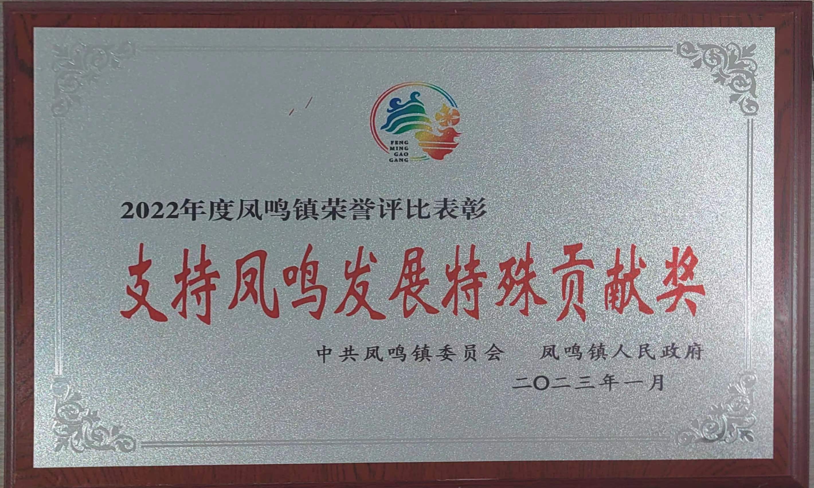 支持鳳鳴發(fā)展特殊貢獻(xiàn)獎(jiǎng)